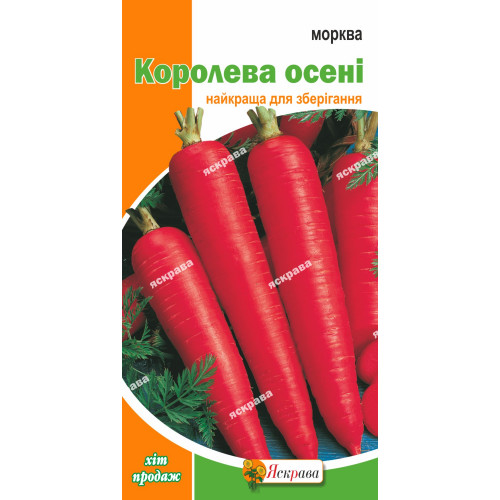 Морковь Королева осени